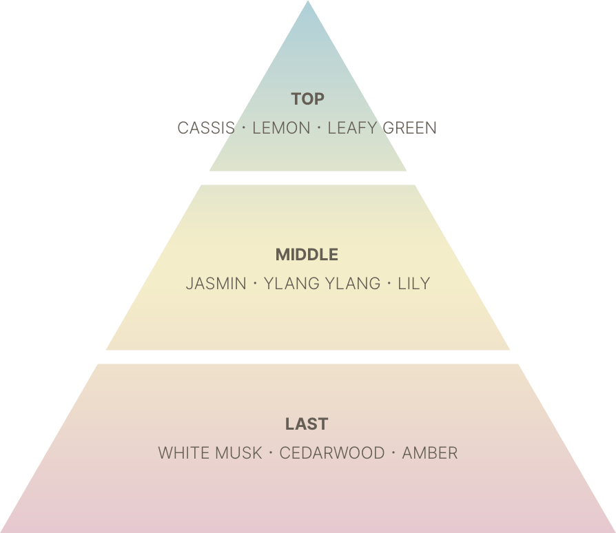 TOP: CASSIS・LEMON・LEAFY GREEN, MIDDLE: JASMIN・YLANG YLANG・LILY, LAST: WHITE MUSK・CEDARWOOD・AMBER